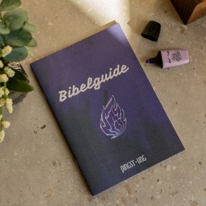 Bibelguide